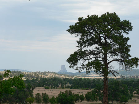 Devils Tower ! 